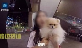 外国渣男爆料视频播放大全,外国渣男爆料视频大汇总