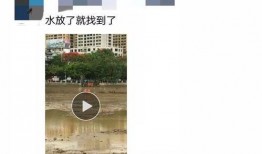 爆料死亡新闻最新视频大全,惊悚瞬间！最新死亡新闻视频大盘点